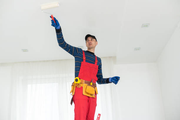 Best Drywall Repair  in Nashvle, IL