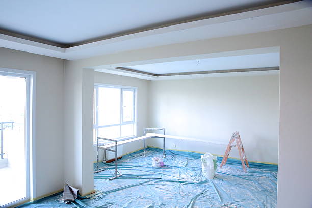 Best Trim and Molding Painting  in Nashvle, IL