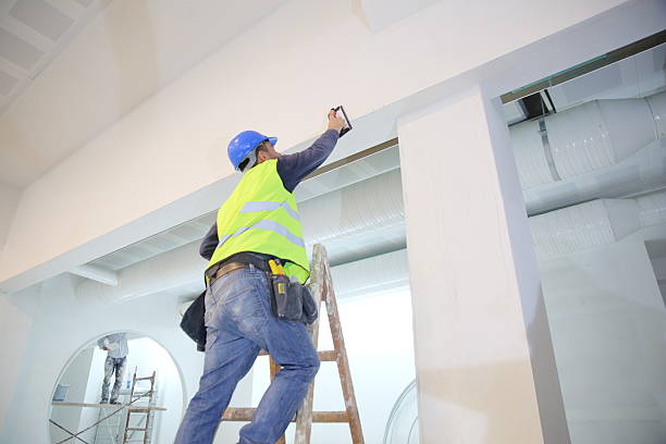 Best Drywall Sanding and Smoothing  in Nashvle, IL