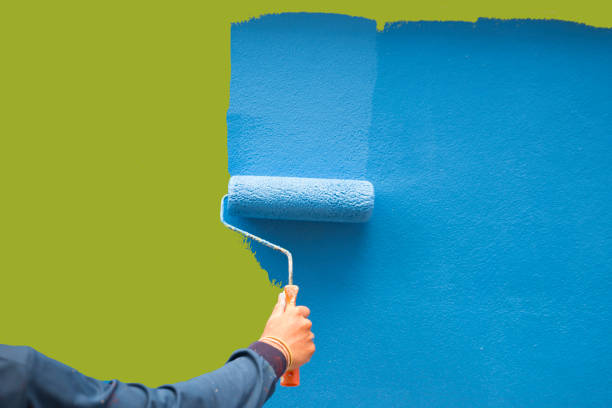 Best Exterior Painting  in Nashvle, IL